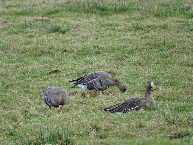 他们需要清 他们需要清