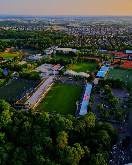 达尔独享历 达尔独享历