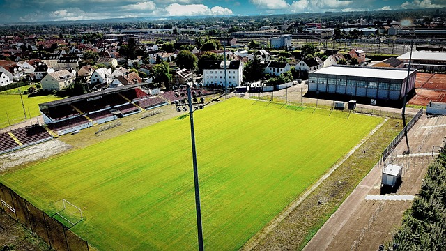 现代体育竞 现代体育竞