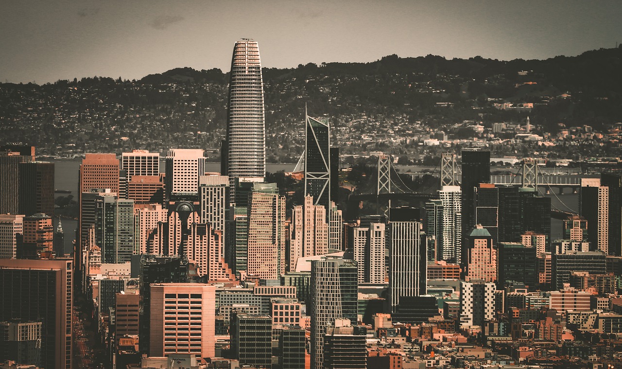 度上塑造了 度上塑造了